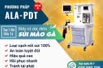 [Hé lộ] Phương pháp hỗ trợ điều trị bệnh sùi mào gà hiệu quả