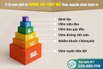 Dương vật đau rát ra mủ: Dấu hiệu bệnh lậu hay viêm nhiễm nam khoa?