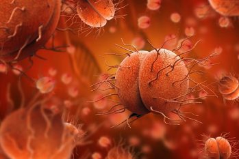 Tác nhân gây bệnh lậu là gì? Cảnh giác trước loại vi khuẩn nguy hiểm này